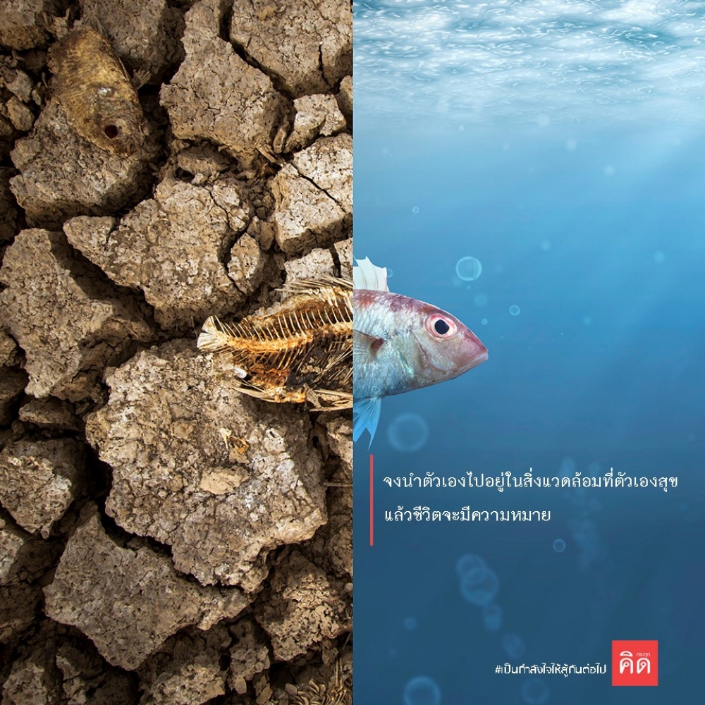 จงนำตัวเองไปอยู่ในสิ่งแวดล้อมที่ตัวเอง #สุข แล้วชีวิตจะมีความหมาย