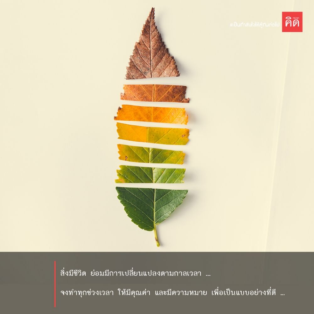 สิ่งมีชีวิต #ย่อมมีการเปลี่ยนแปลงตามกาลเวลา ... จงทำทุกช่วงเวลา ให้มีคุณค่าและมีความหมาย เพื่อ #เป็นแบบอย่างที่ดี 👩‍🦳🧓🧒👧👶