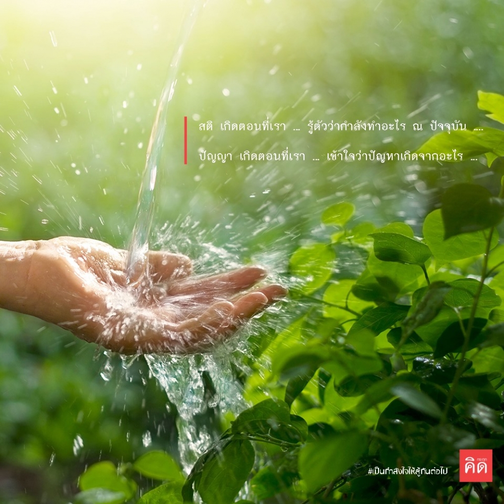 คำถามที่ถามบ่อย สติ กับ ปัญญา เกิดตอนไหน?? หาคำตอบกัน