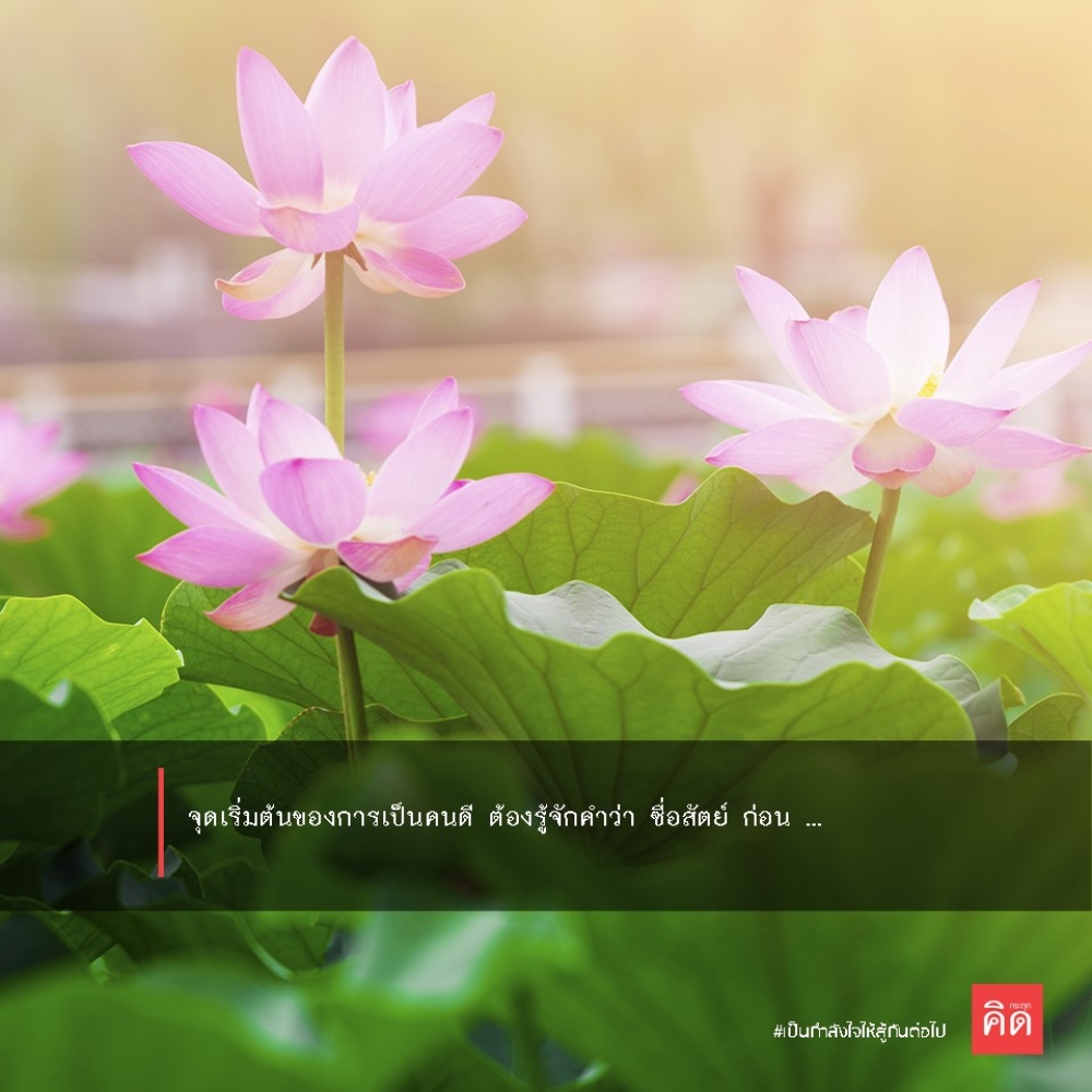จุดเริ่มต้นของการเป็น #คนดี ... ต้องรู้จักคำว่า #ซื่อสัตย์ ก่อน ...