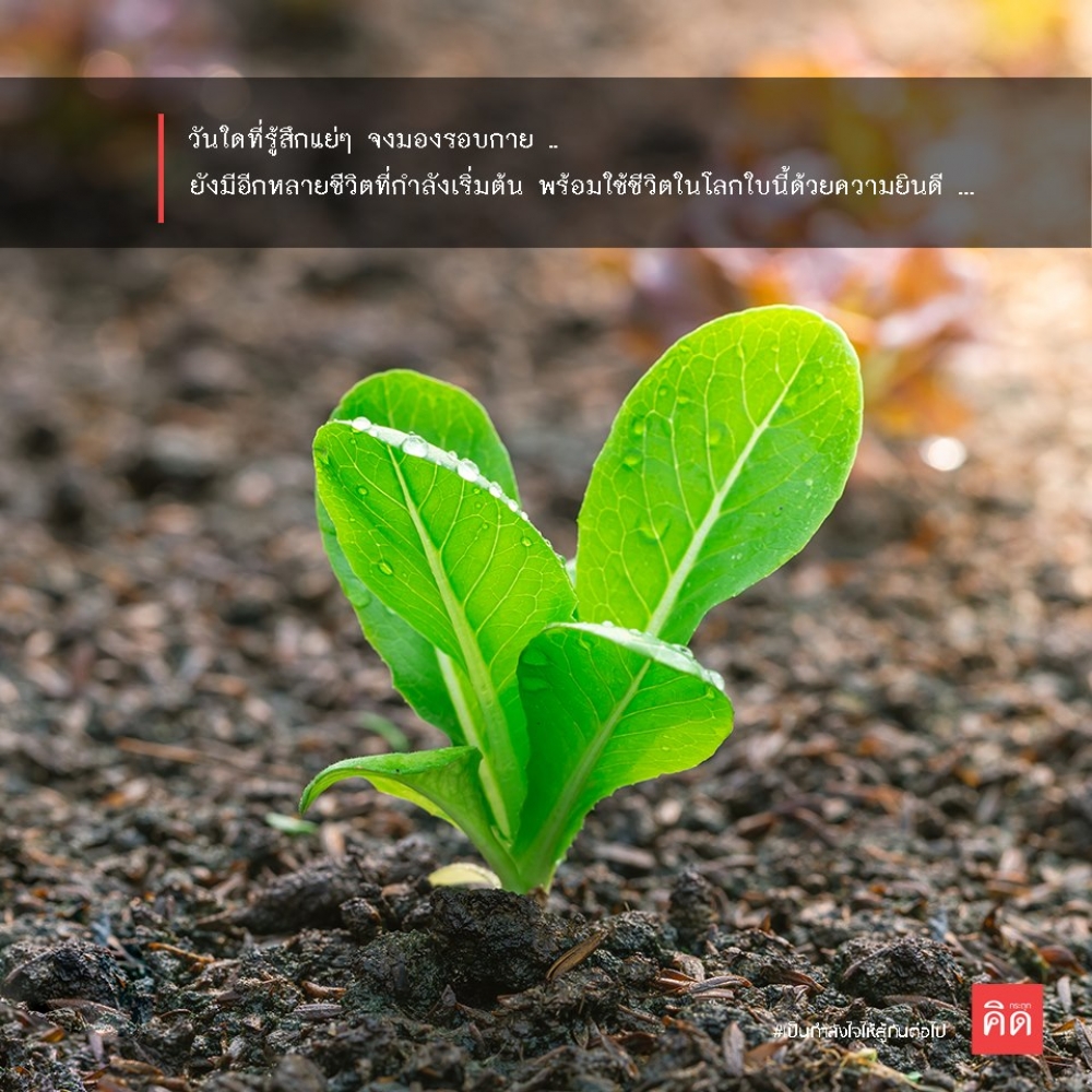 วันใดที่รู้สึกแย่ๆ จงมองรอบกาย ... ยังมีอีกหลายชีวิตที่กำลังเริ่มต้น พร้อมใช้ชีวิตในโลกใบนี้ด้วยความยินดี ...